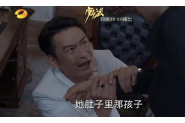 蕉岭债务清欠服务